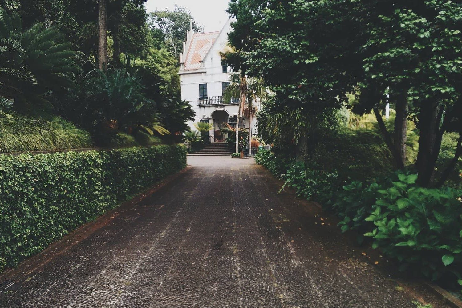 dRIVEWAY CLEANING IN MELBOURNE